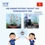 FROM GERMANY TO VIETNAM: MIRACLES DO HAPPEN!!!!! PLANTS ABOUT TO DIE “REVIVED” WITH SHRIMP PEPTIDES & CHITIN/ CHITOSAN