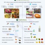 |VNF INFOGRAPHIC SERIES| Chitosan: From the Shell to the World 007 Chitosan – Antimicrobial Applications