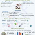 |VNF INFOGRAPHIC SERIES| Chitosan: From the Shell to the World 0️⃣1️⃣5️⃣ Chitosan actions in Dairy Cow